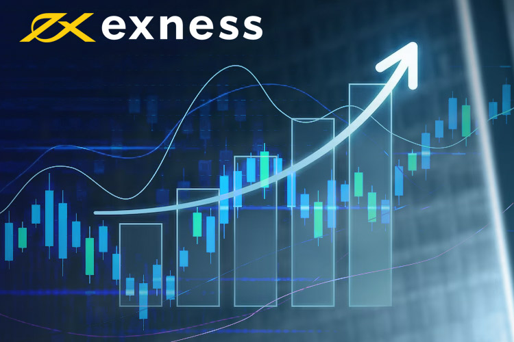 Comprehensive Guide to Exness Fx Broker