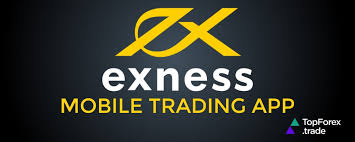 Maximize Your Experience with Exness Live Chat Maximize Your Experience with Exness Live Chat